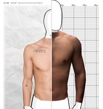 Torso Comparison