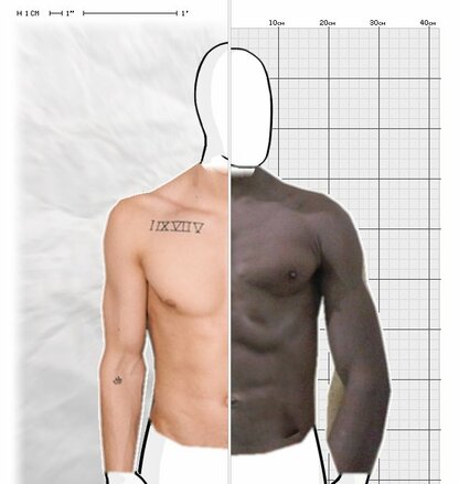 Torso Comparison