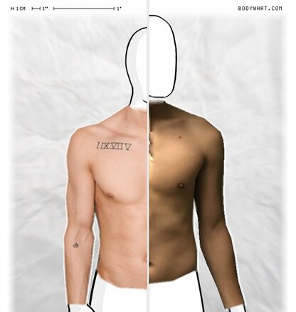 Torso Comparison