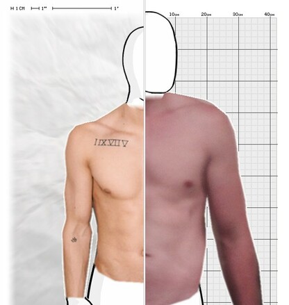 Torso Comparison