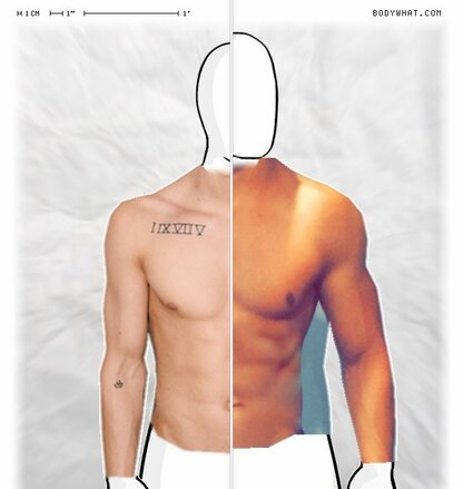 Torso Comparison