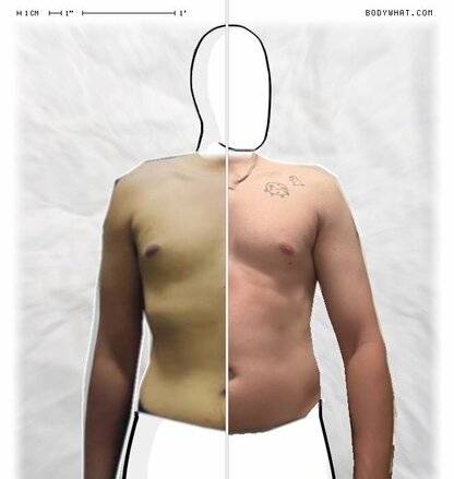 Torso Comparison