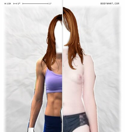 Torso Comparison