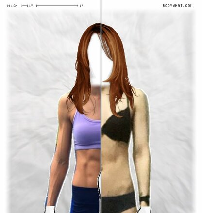 Torso Comparison