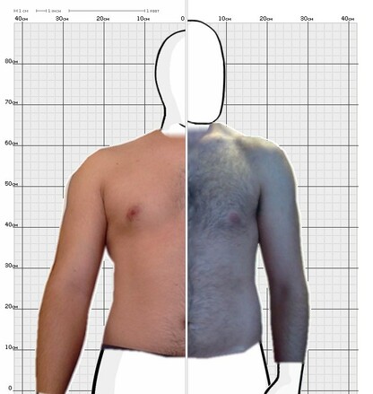 Torso Comparison