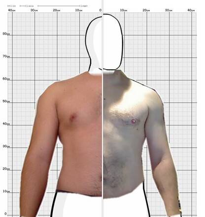 Torso Comparison