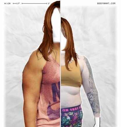 Torso Comparison