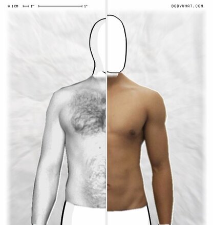 Torso Comparison