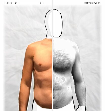 Torso Comparison