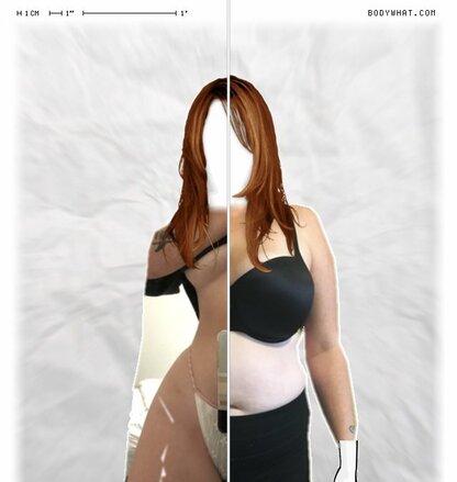 Torso Comparison