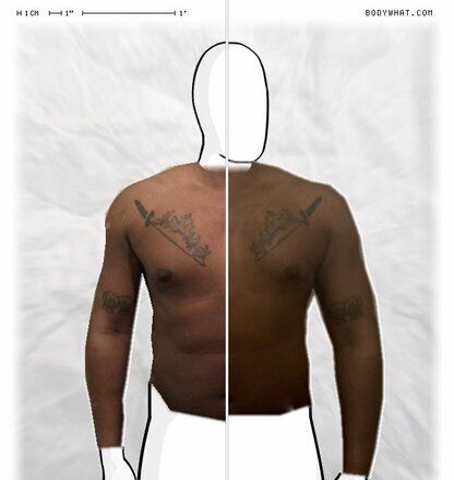 Torso Comparison