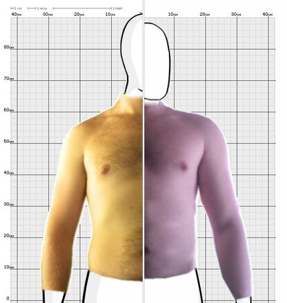 Torso Comparison