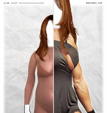 Torso Comparison