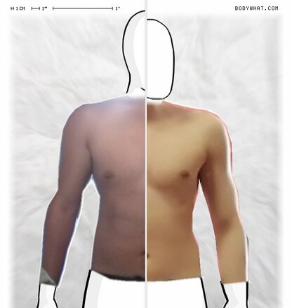 Torso Comparison