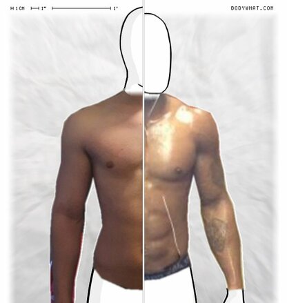 Torso Comparison