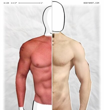 Torso Comparison