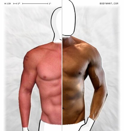 Torso Comparison