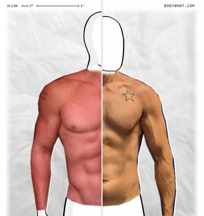 Torso Comparison