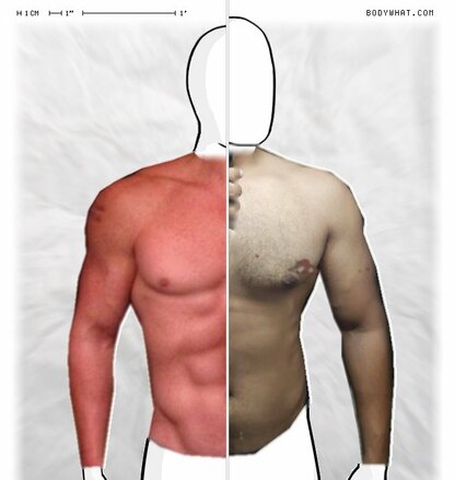 Torso Comparison