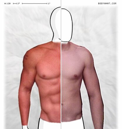 Torso Comparison