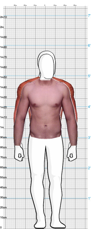 Full Size Comparison