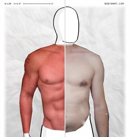 Torso Comparison