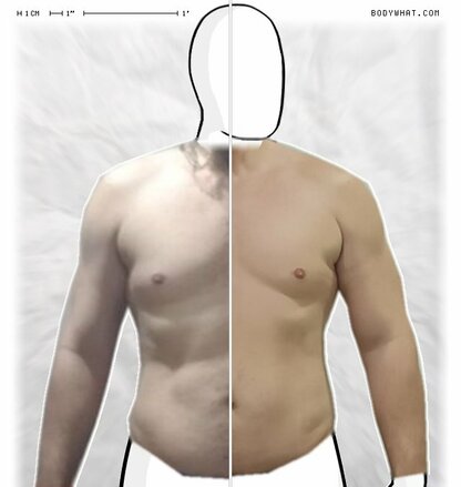 Torso Comparison