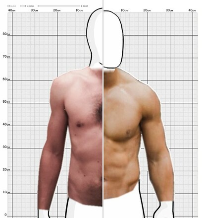 Torso Comparison