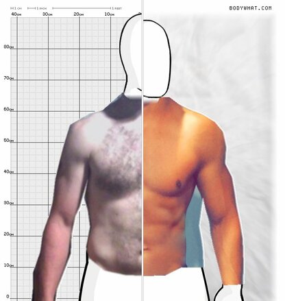 Torso Comparison