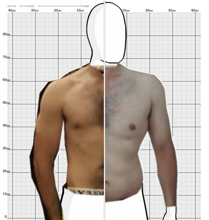 Torso Comparison