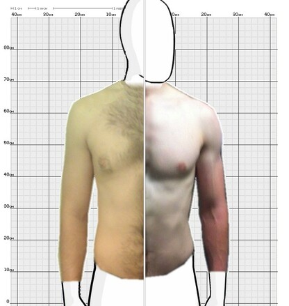 Torso Comparison