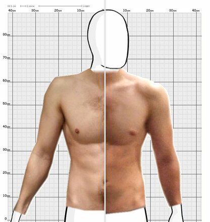 Torso Comparison