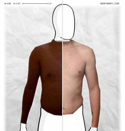 Torso Comparison