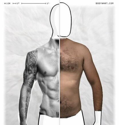 Torso Comparison