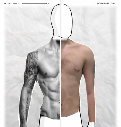 Torso Comparison