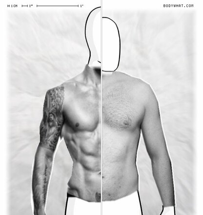 Torso Comparison