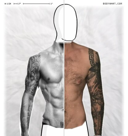 Torso Comparison