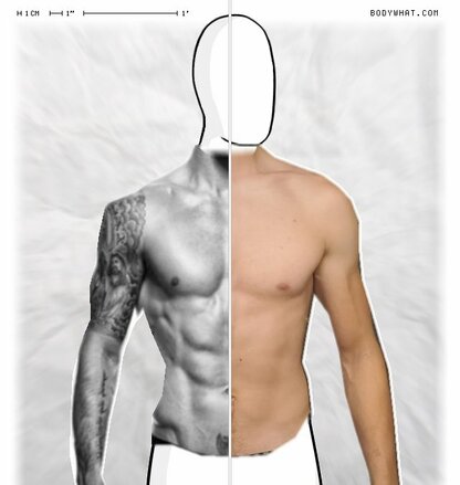 Torso Comparison