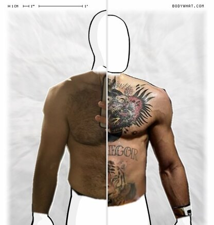 Torso Comparison