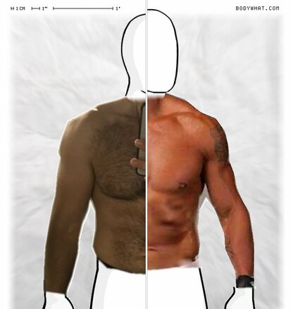 Torso Comparison