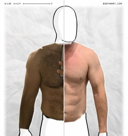 Torso Comparison