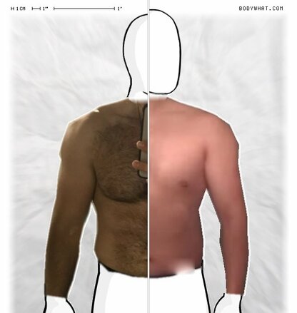 Torso Comparison