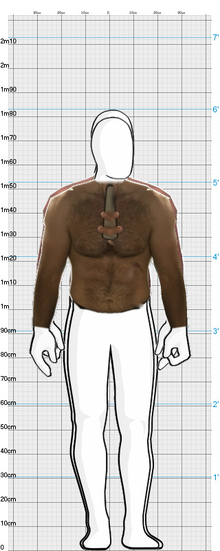 Full Size Comparison