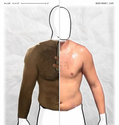 Torso Comparison