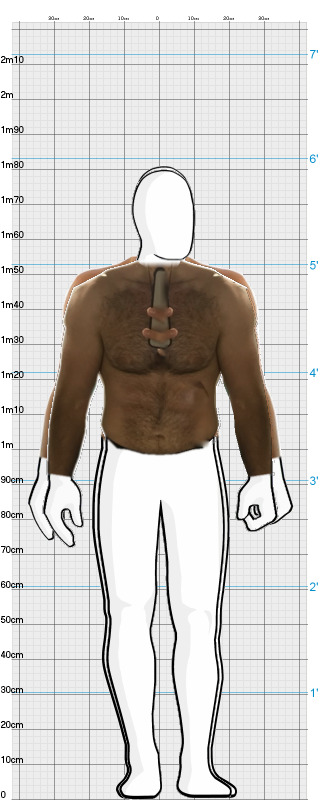 Full Size Comparison