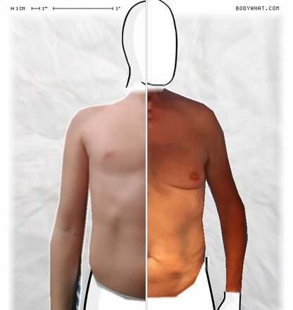 Torso Comparison