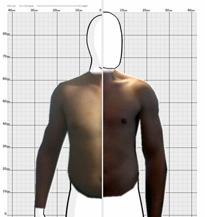 Torso Comparison