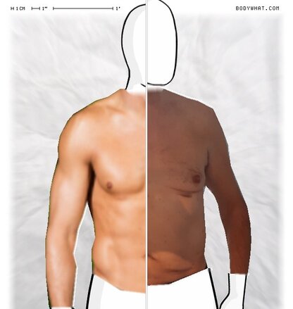 Torso Comparison