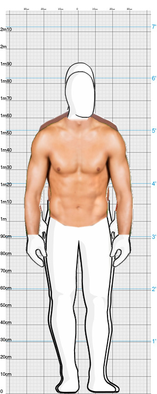 Full Size Comparison