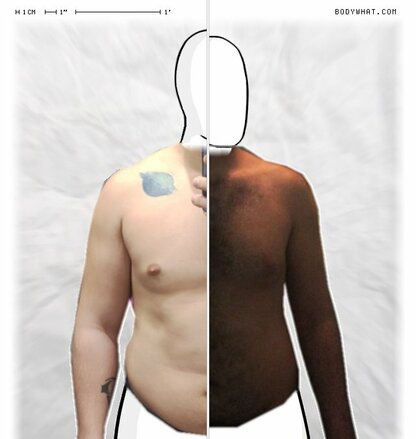Torso Comparison